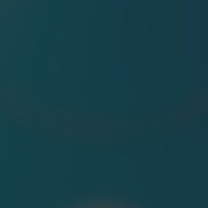 Meet your Posher, Jess